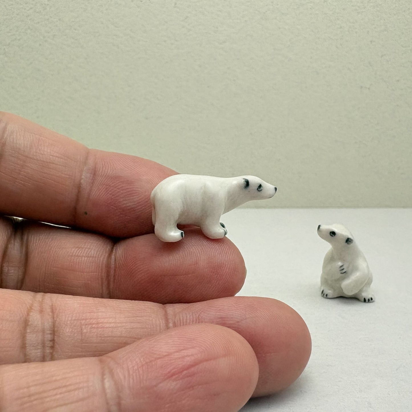 Arctic Companions