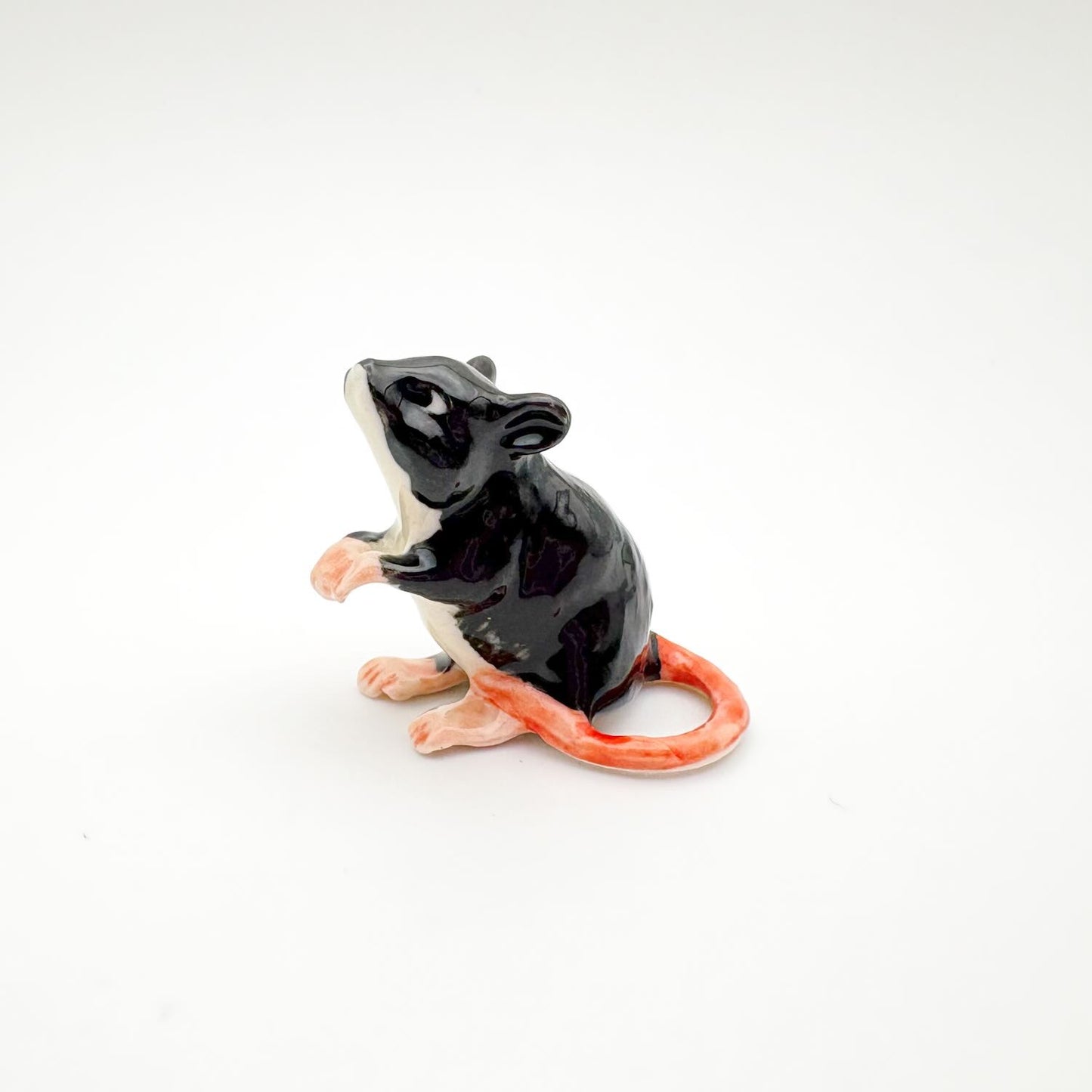 Tiny Dirty Rats