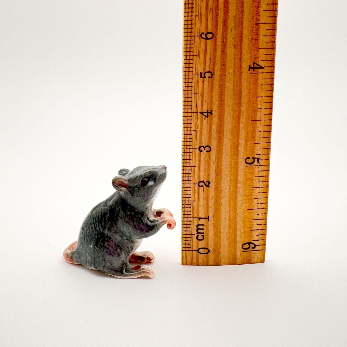 Tiny Dirty Rats