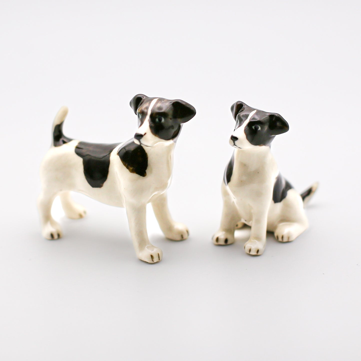 2 Jack Russell Terrier