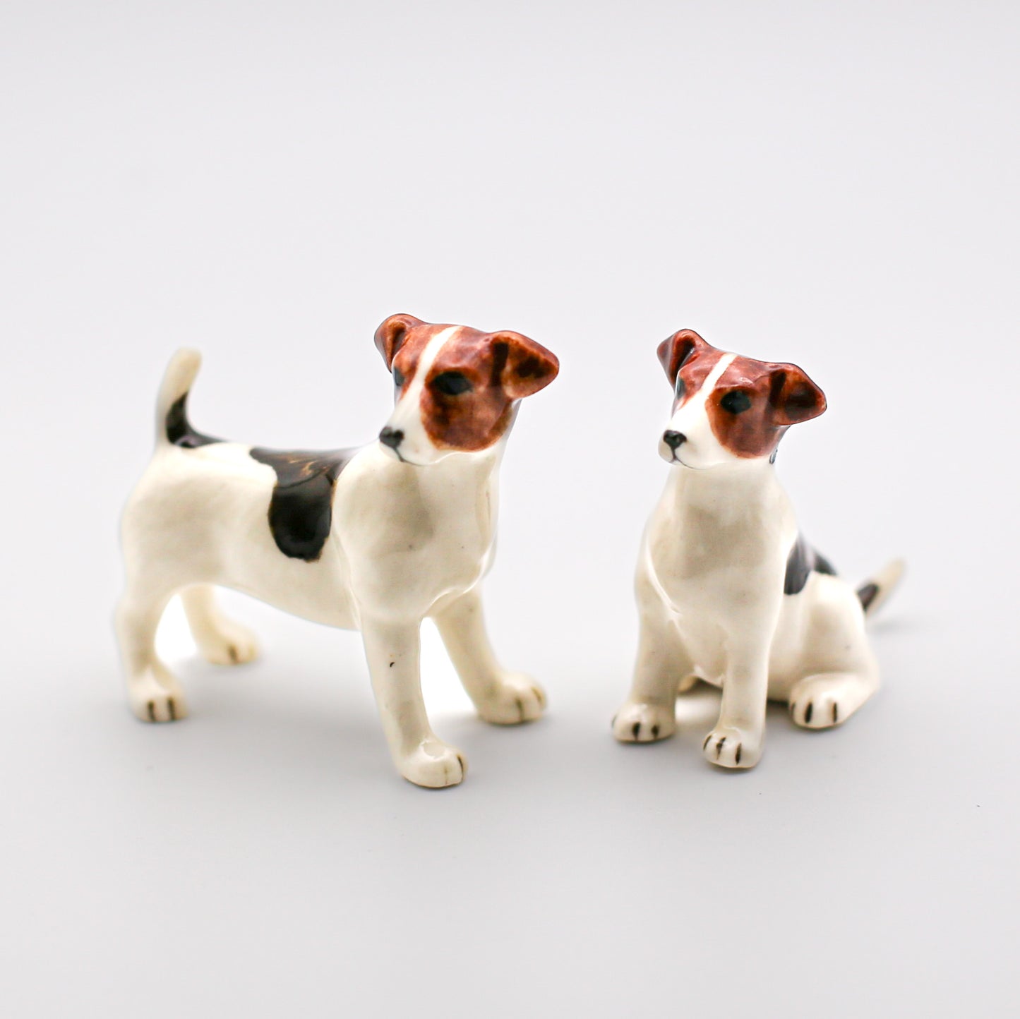 2 Jack Russell Terrier
