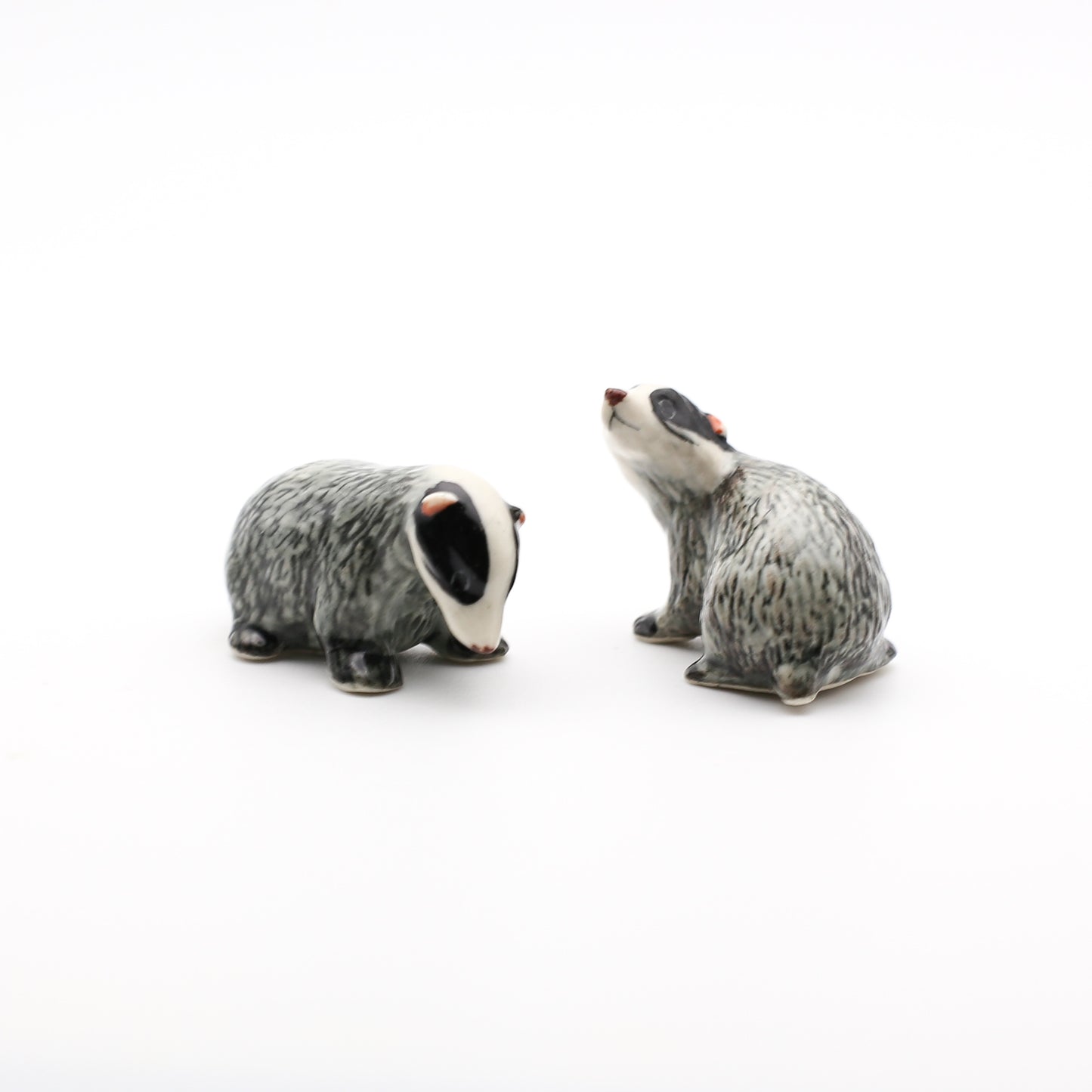2 Badgers