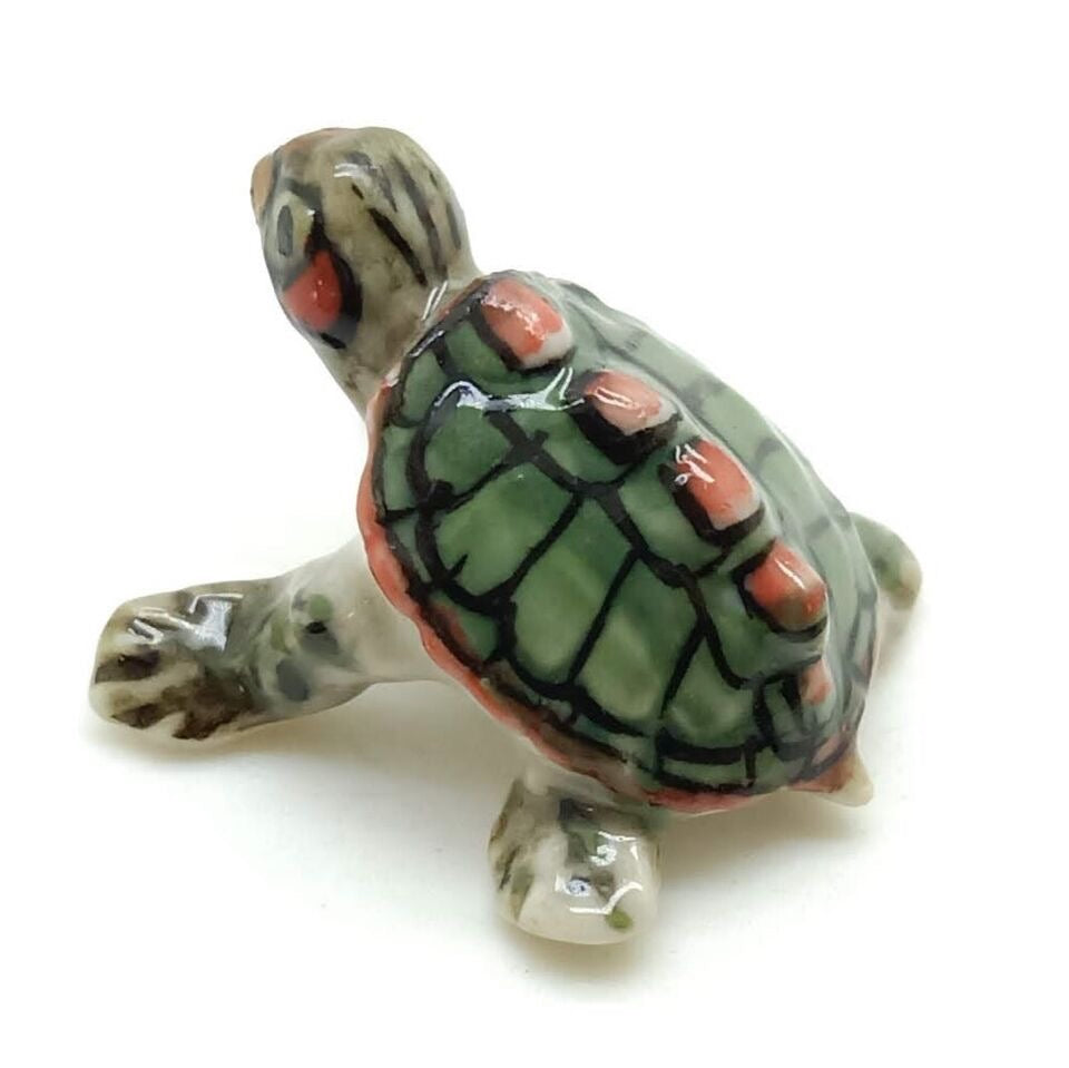 Tiny Red Eared Sliders Turtle