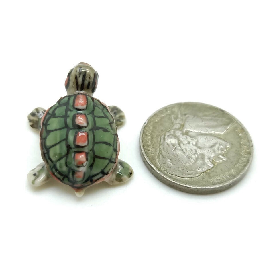 Tiny Red Eared Sliders Turtle