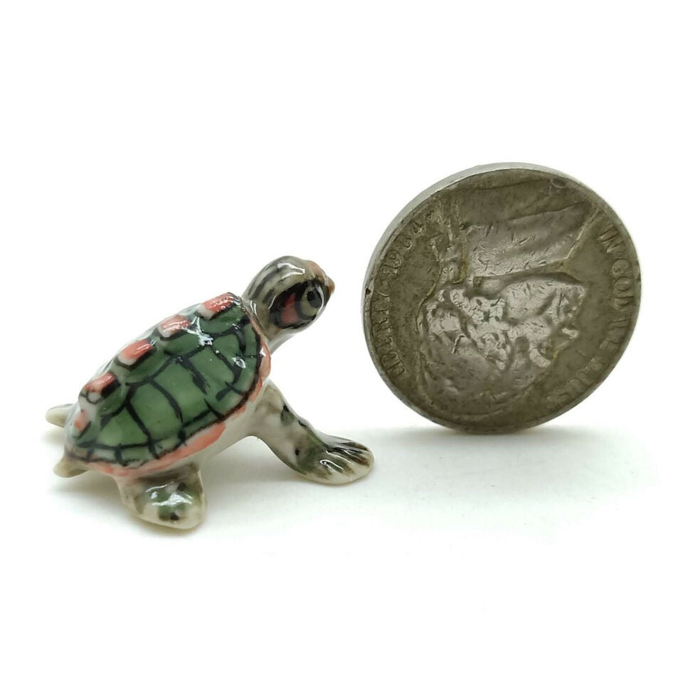 Tiny Red Eared Sliders Turtle