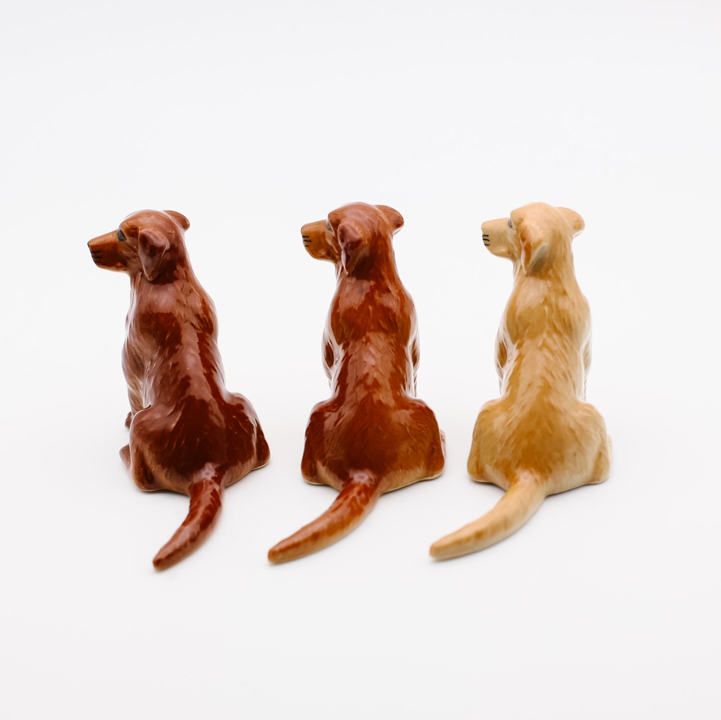 Loyal Companions Collection