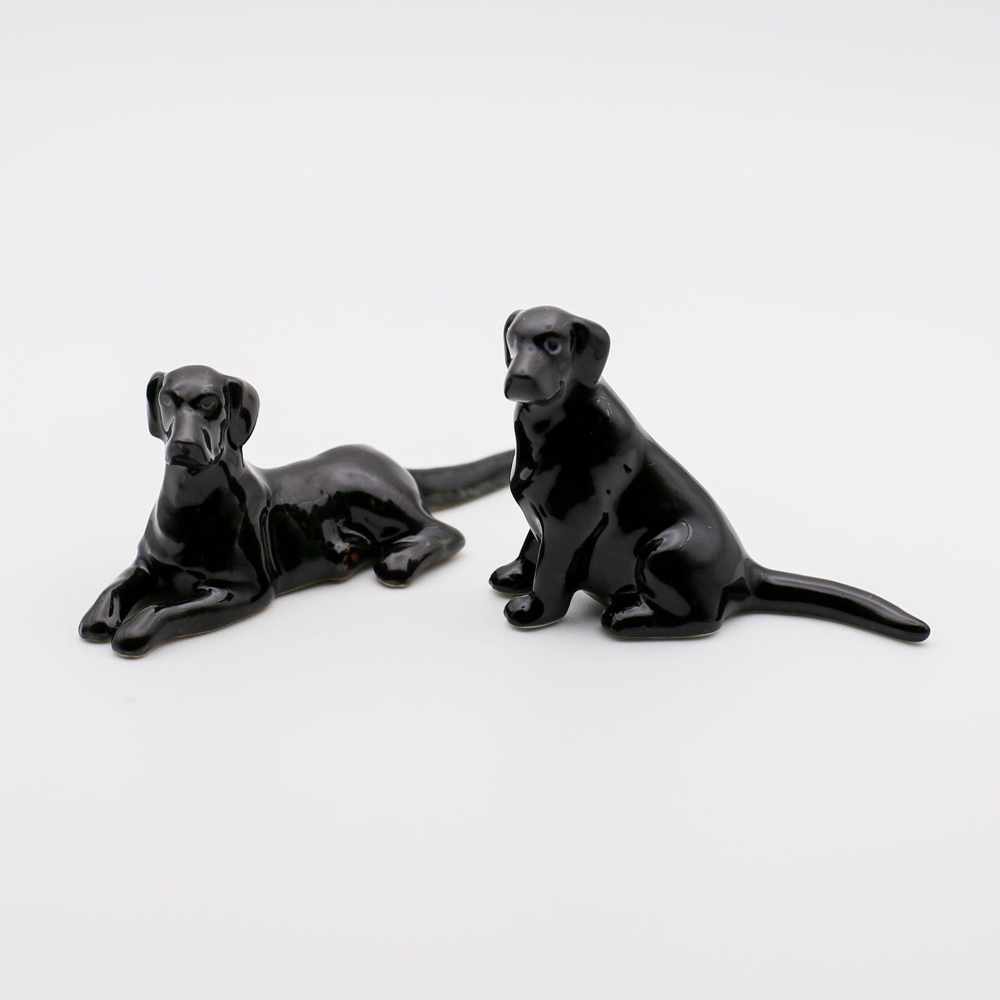 Loyal Companions Collection