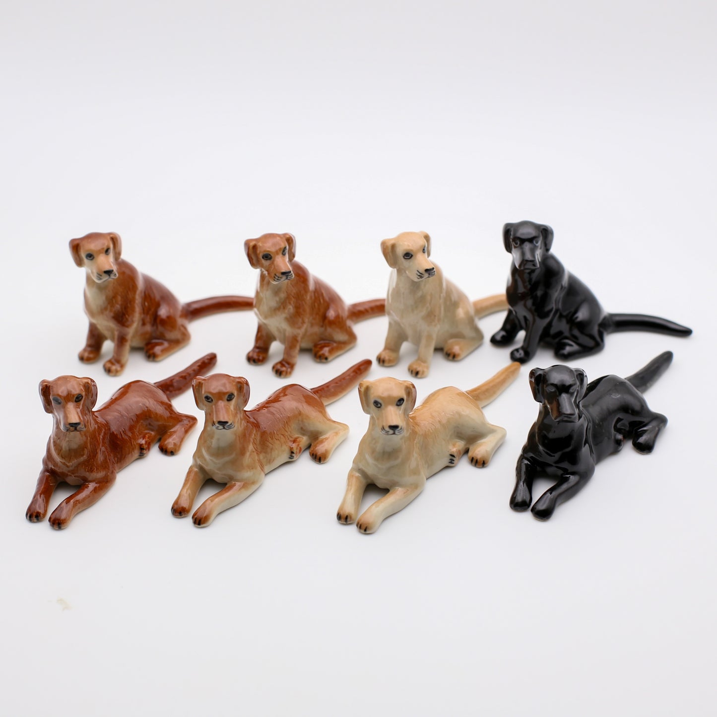 Loyal Companions Collection