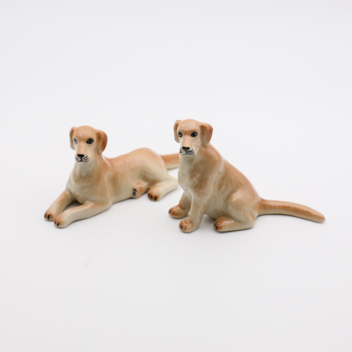 Loyal Companions Collection