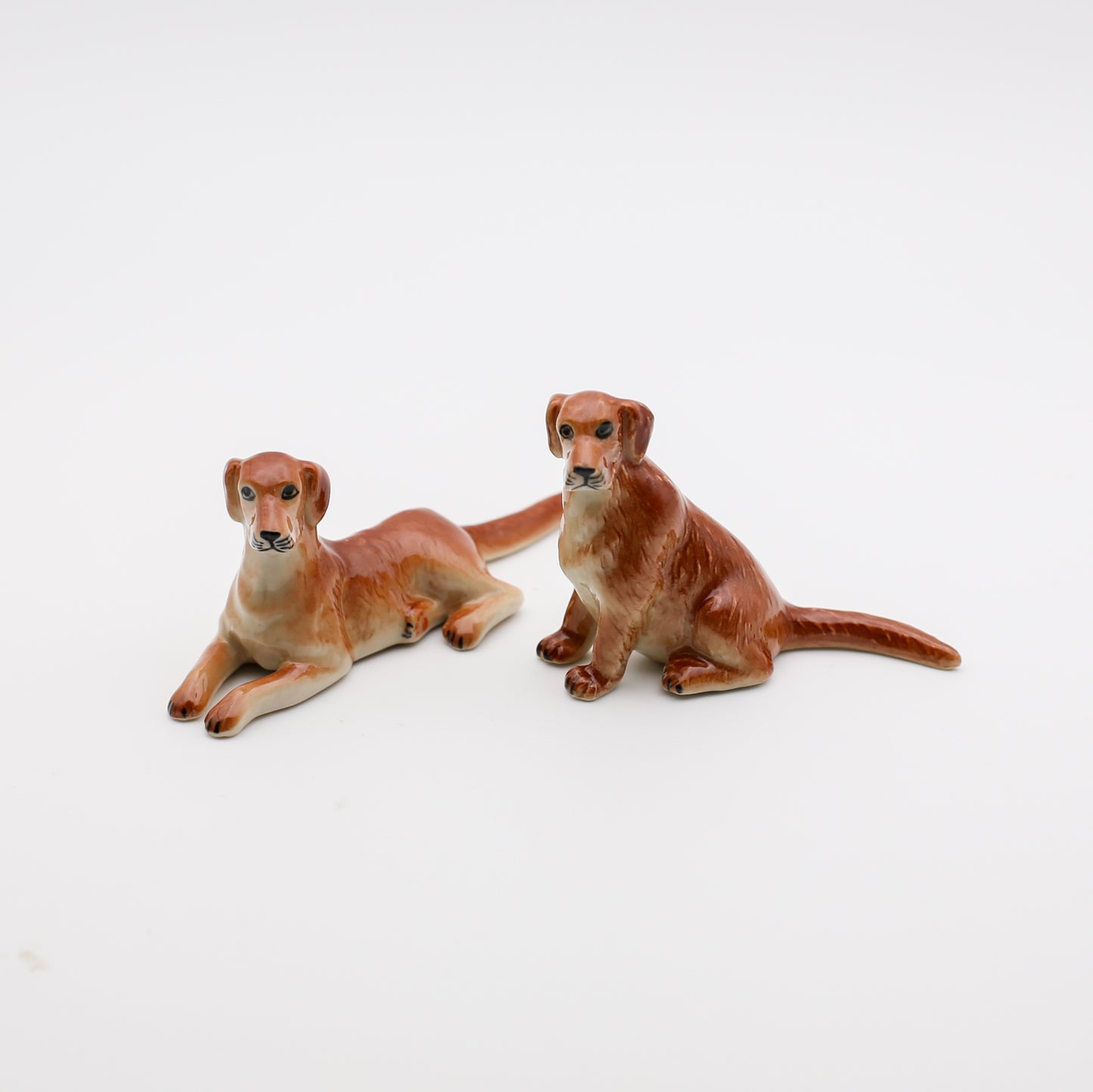 Loyal Companions Collection