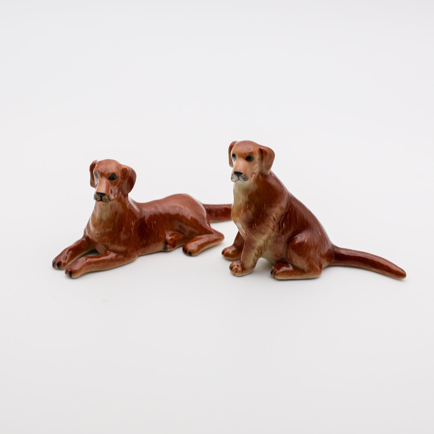 Loyal Companions Collection