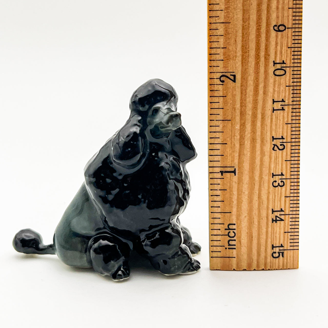 Black Poodle, 4 Poses available