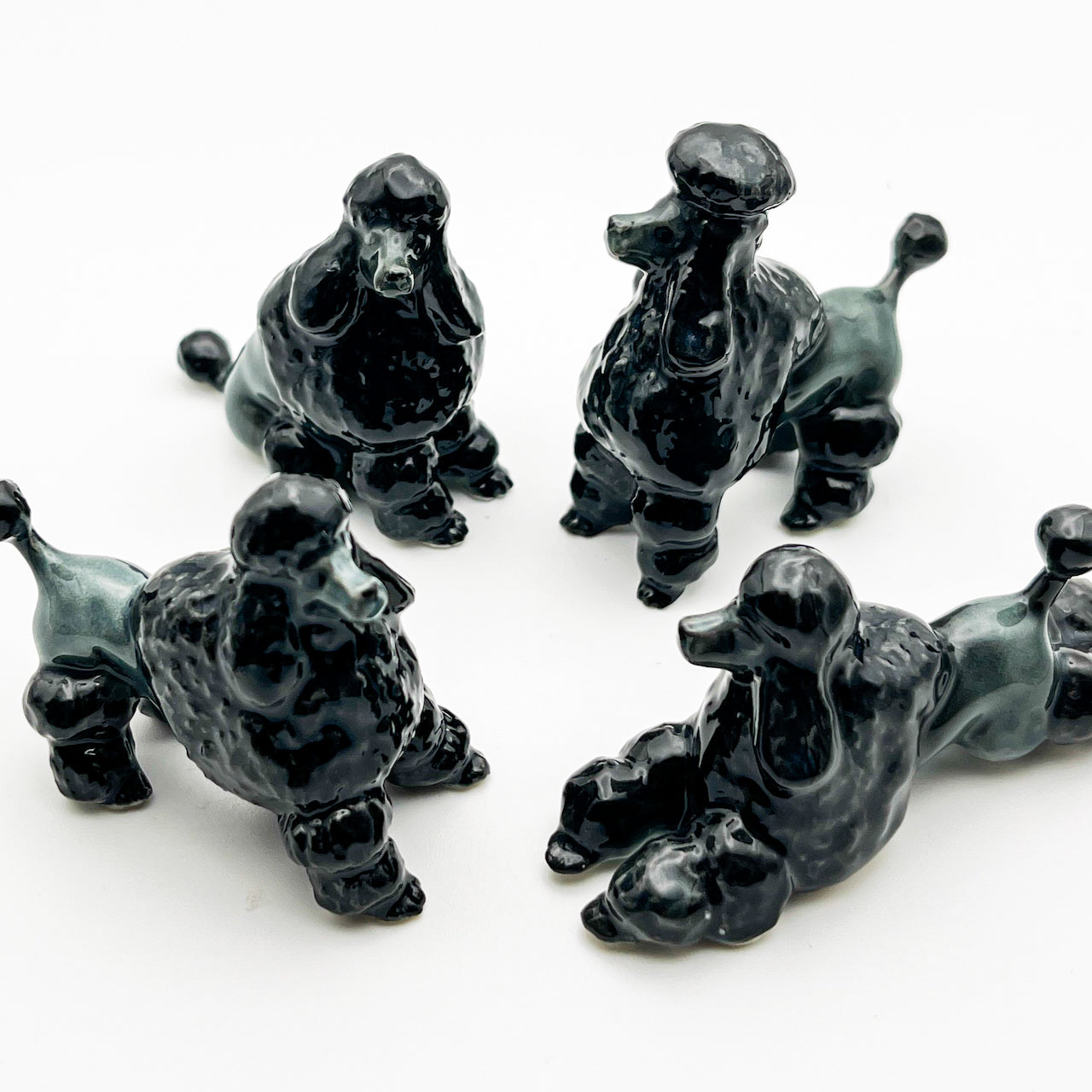 Black Poodle, 4 Poses available