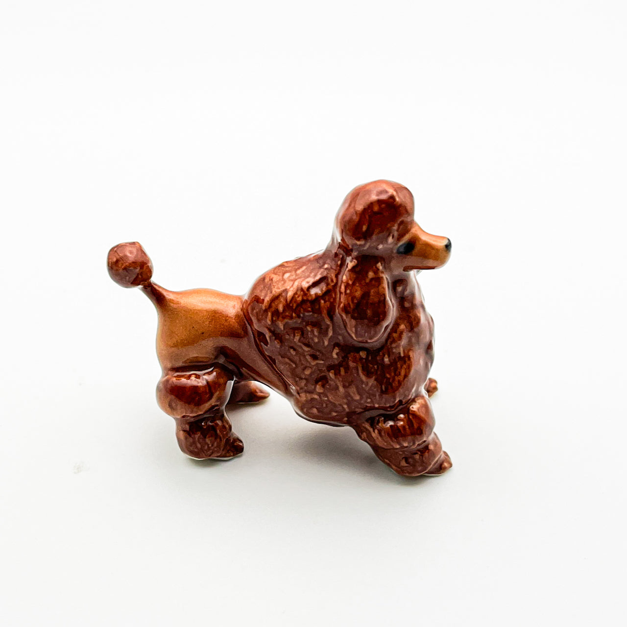 Red Brown Poodle, 4 Poses available