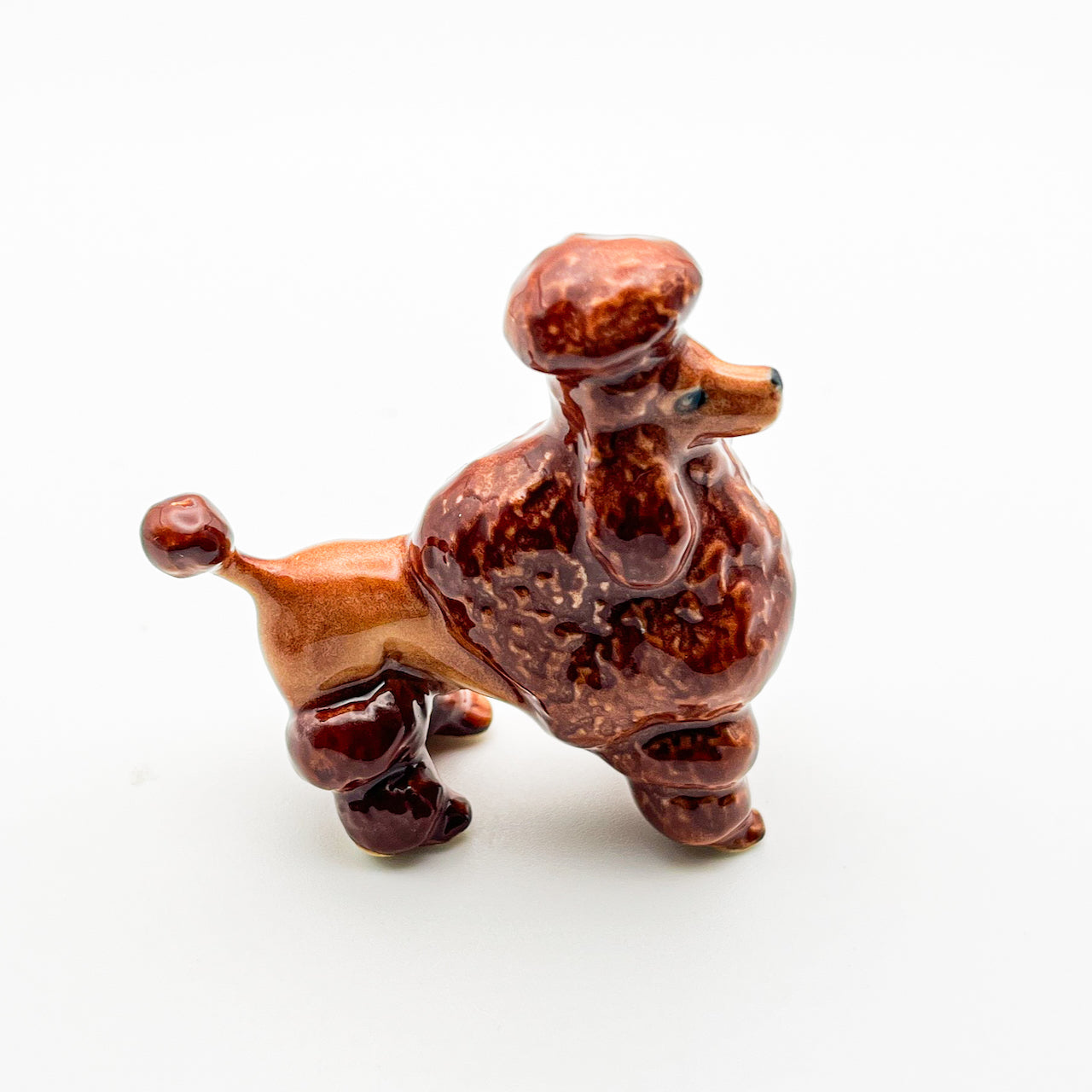 Red Brown Poodle, 4 Poses available