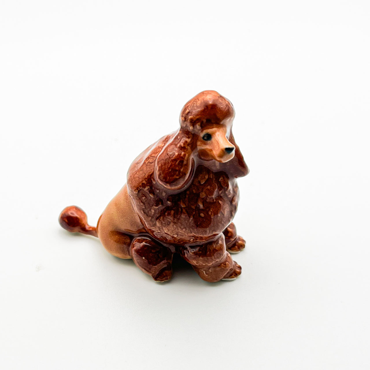 Red Brown Poodle, 4 Poses available