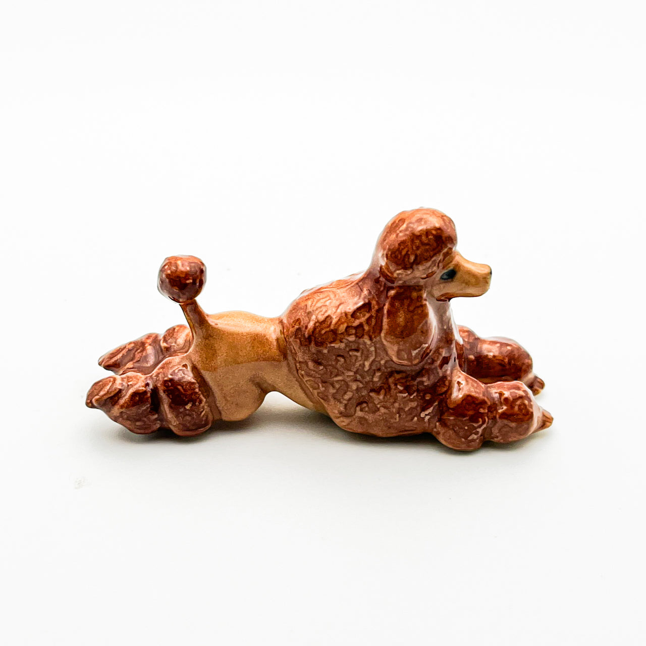 Red Brown Poodle, 4 Poses available