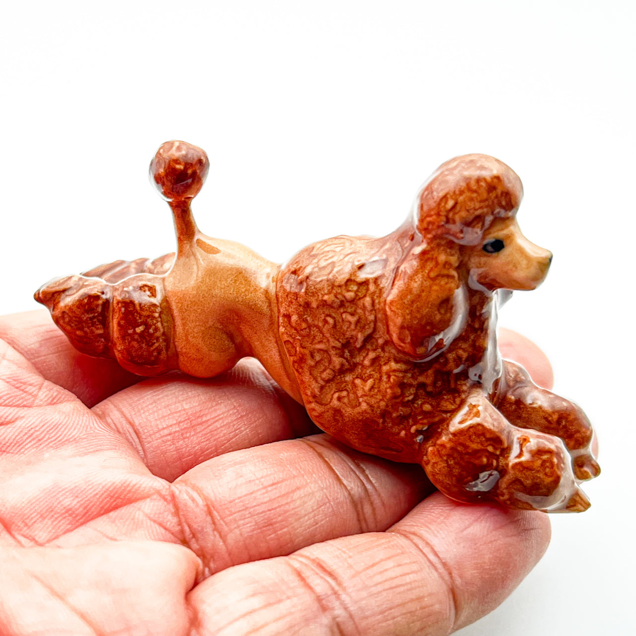 Red Brown Poodle, 4 Poses available
