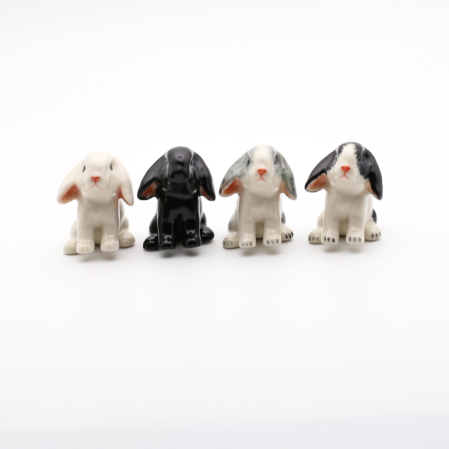 Mini Lop Bunny