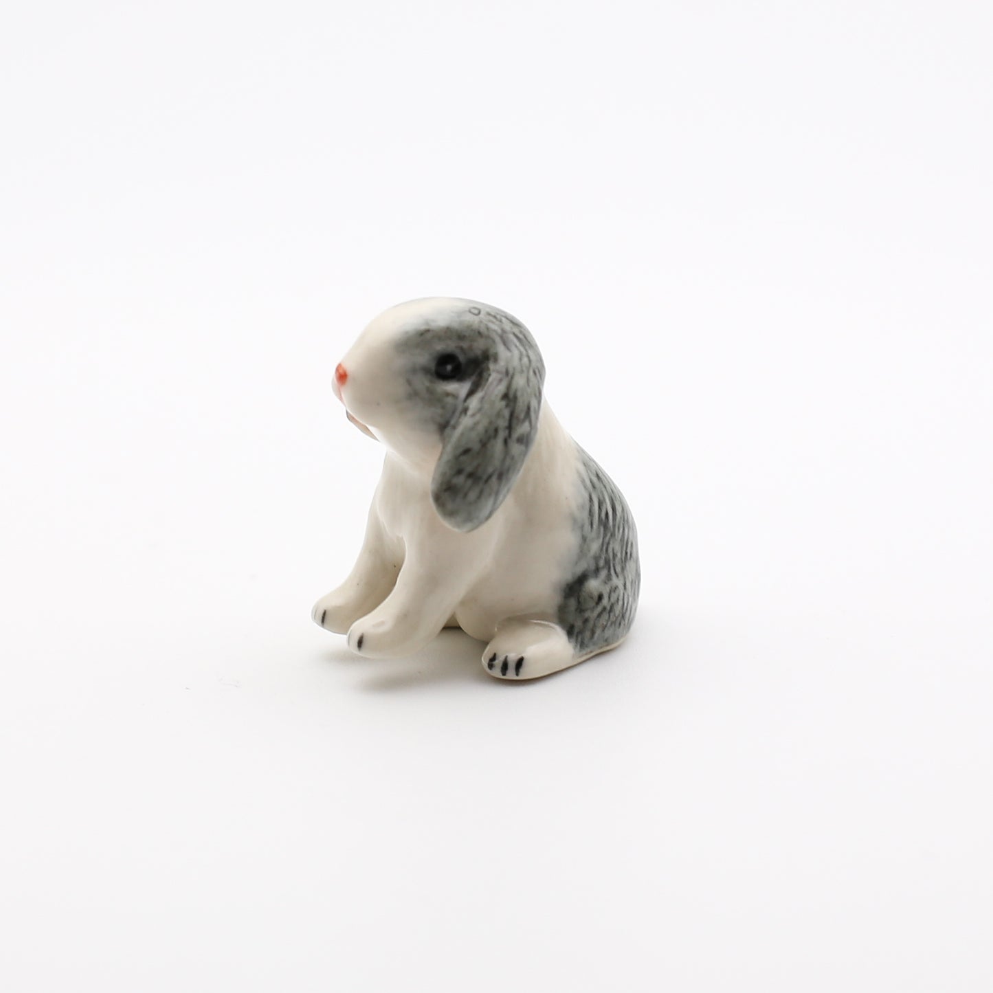 Mini Lop Bunny