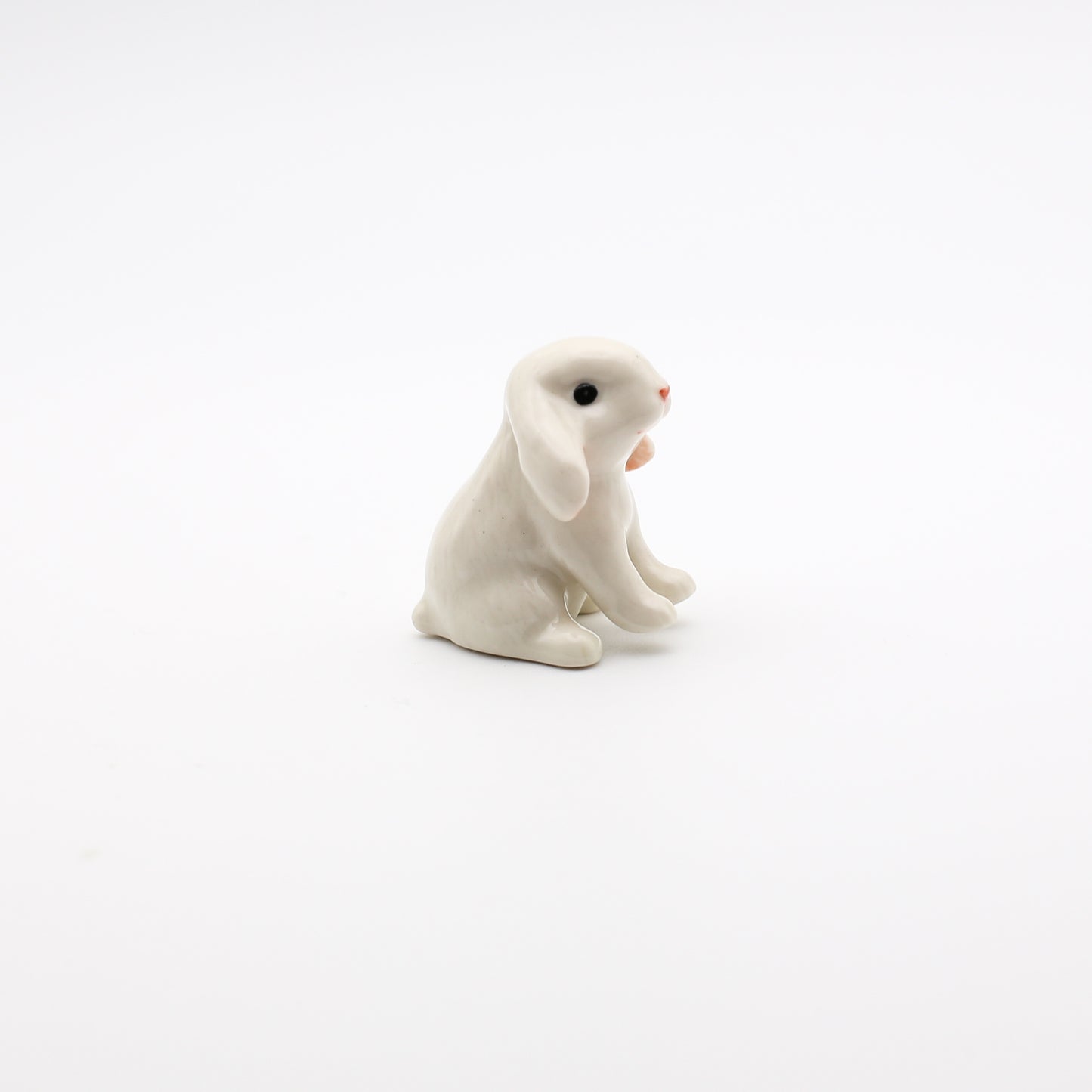 Mini Lop Bunny