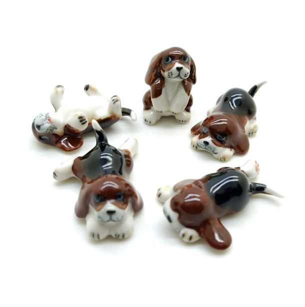 Set of 5 Beagle Puppies