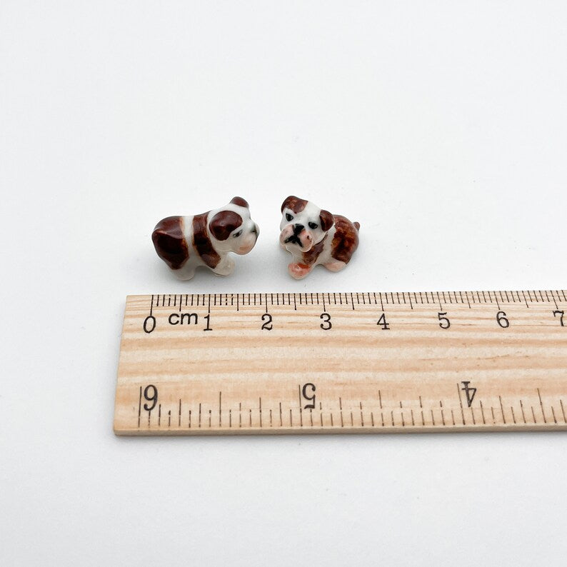 2 Tiny Bulldog