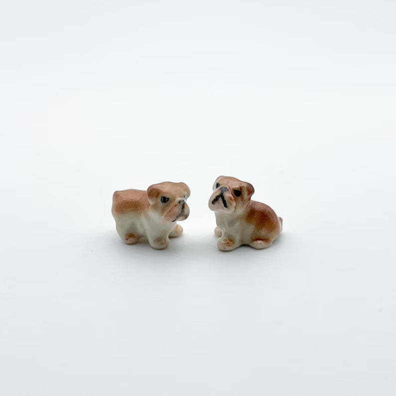 2 Tiny Bulldog