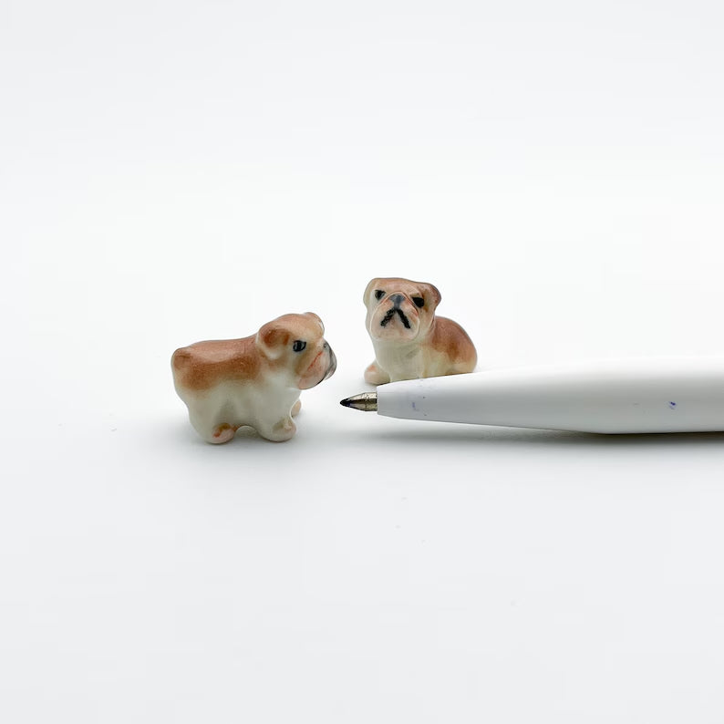2 Tiny Bulldog