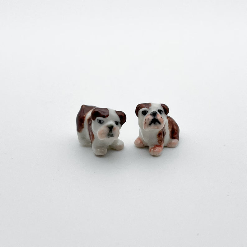2 Tiny Bulldog
