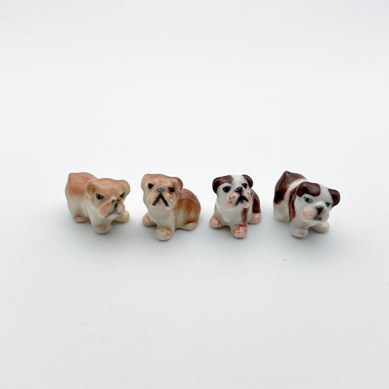 2 Tiny Bulldog