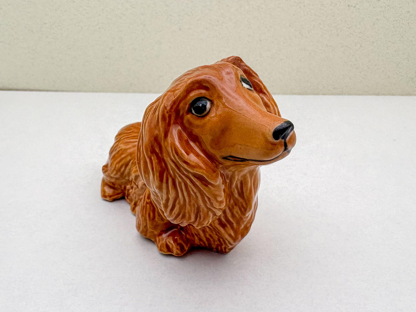 Long-Haired Dachshund