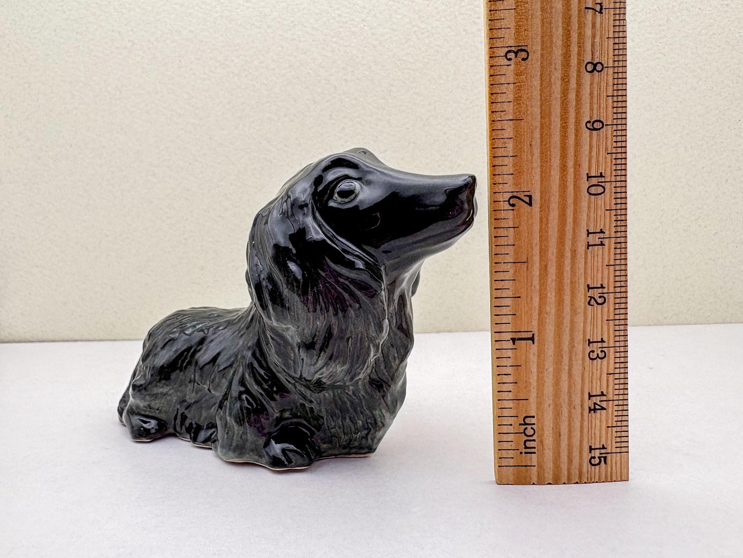 Long-Haired Dachshund
