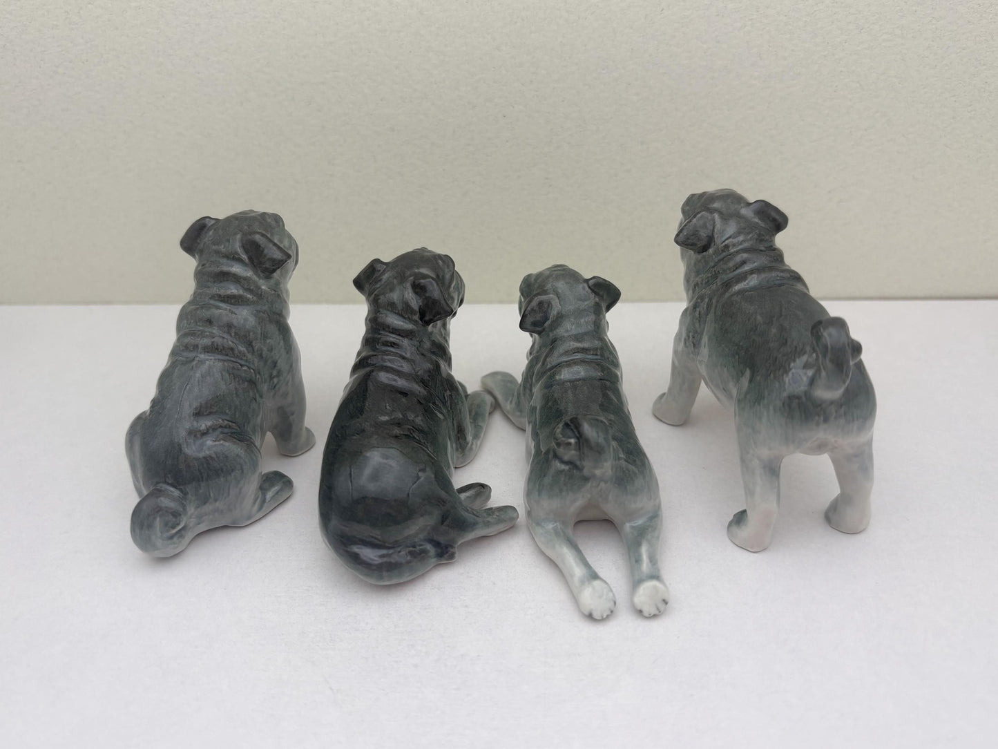 Sleek Black Pugs