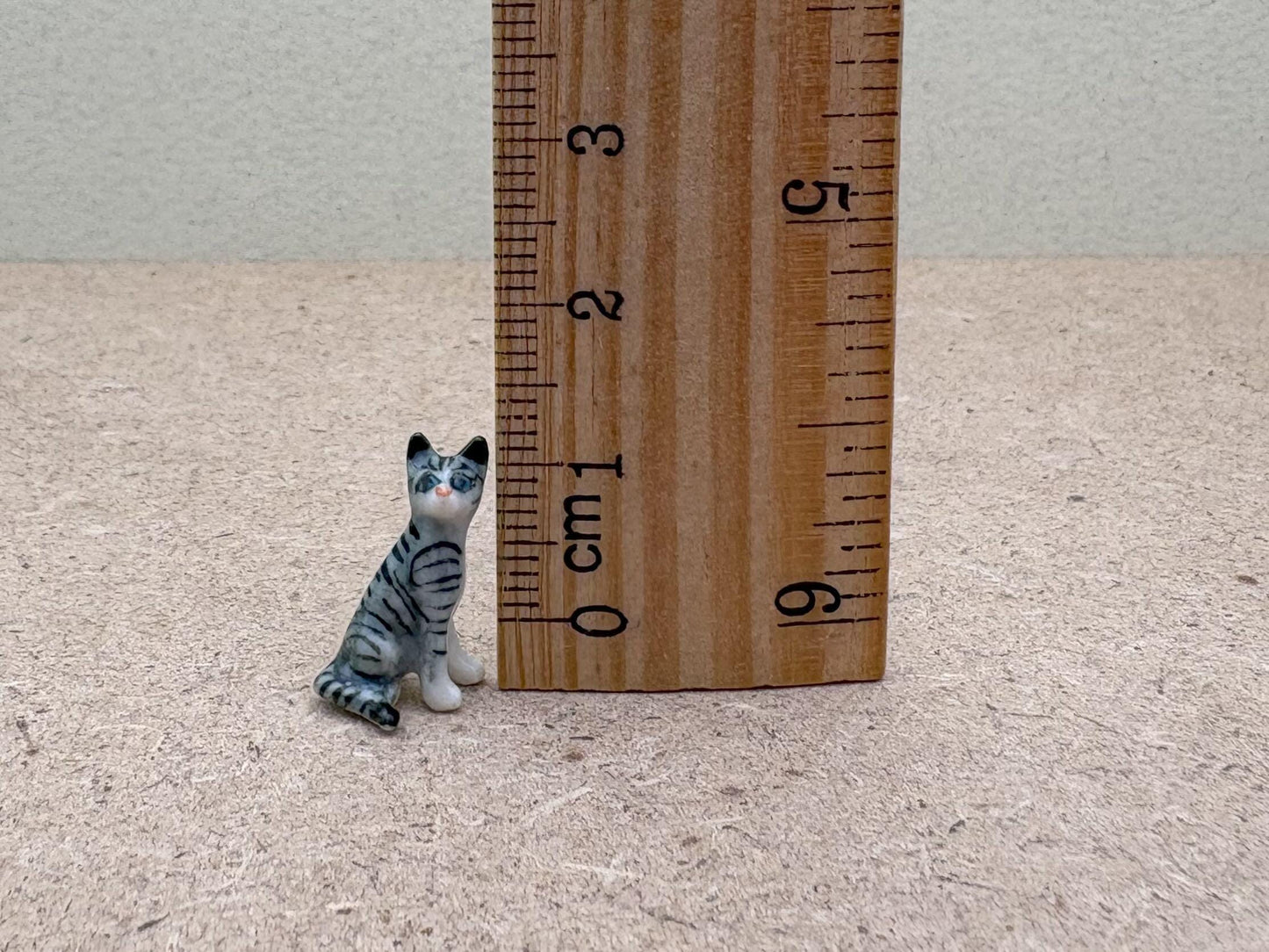 Kitten Set