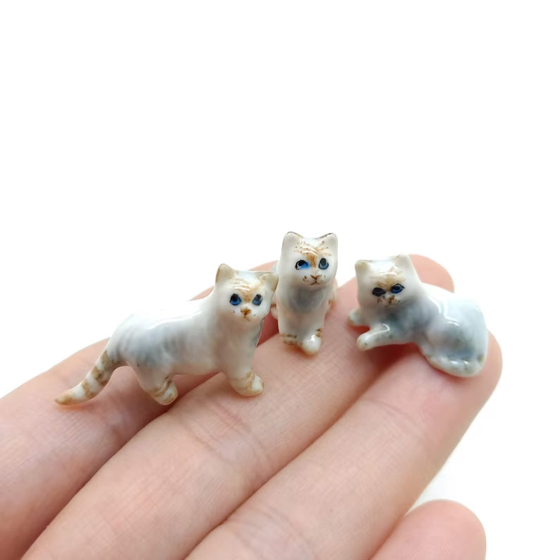 5 Tiny Persian Cats