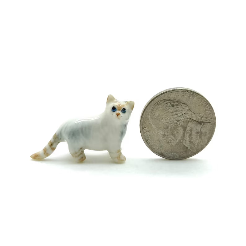 5 Tiny Persian Cats
