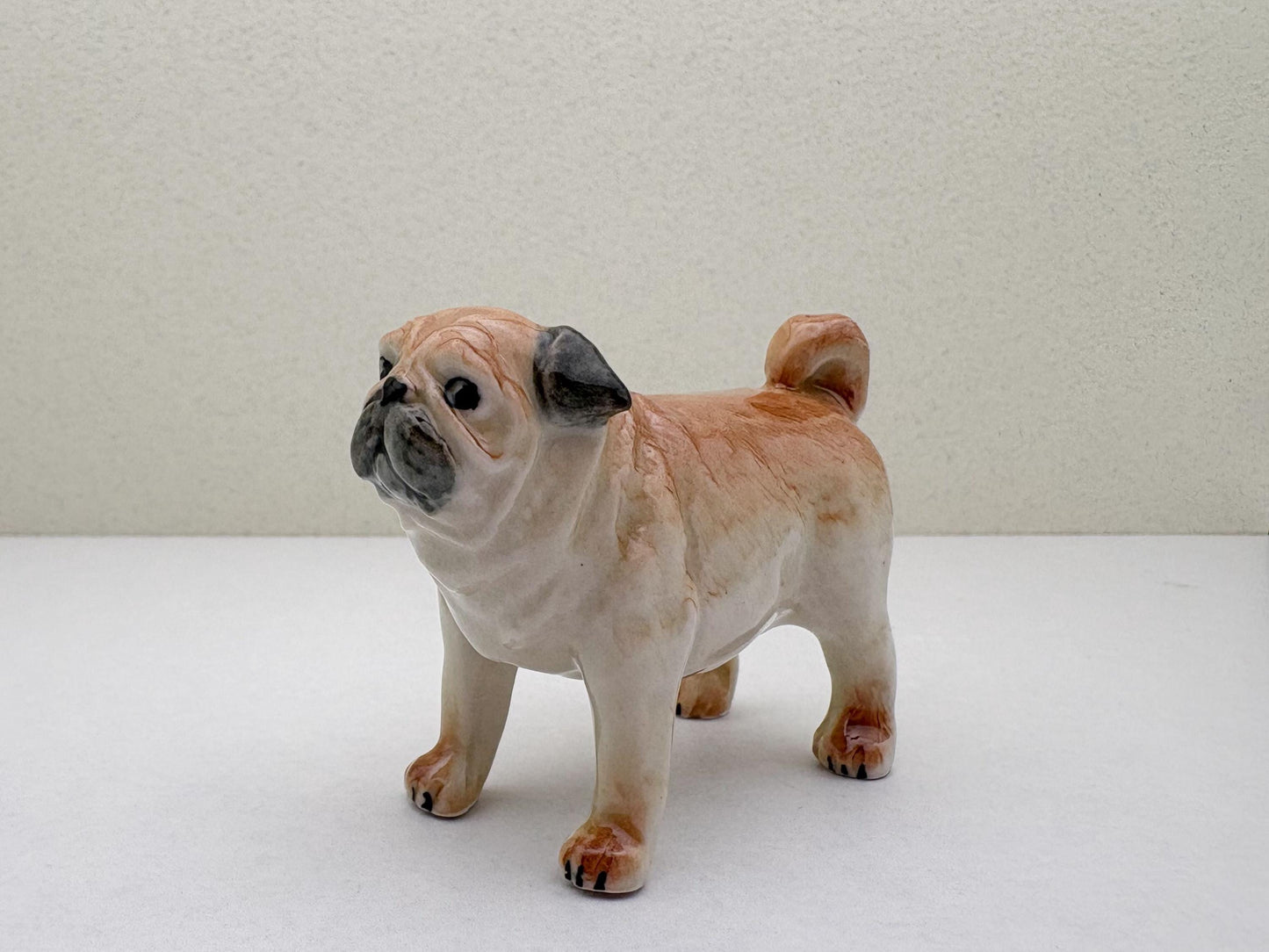 Classic Fawn Pugs