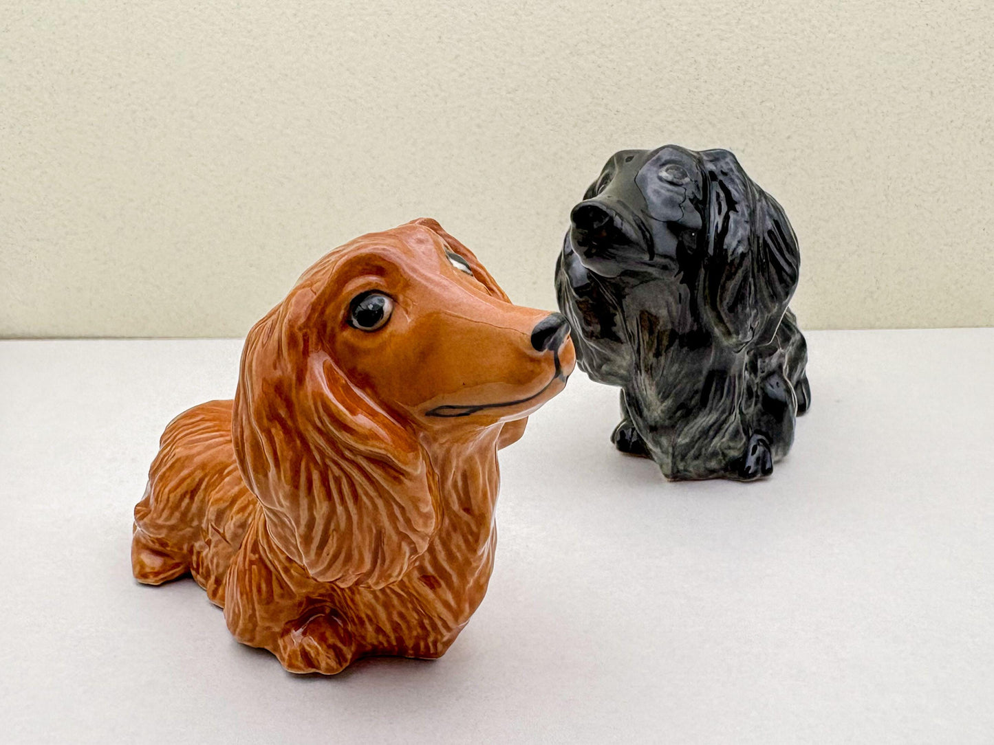 Long-Haired Dachshund