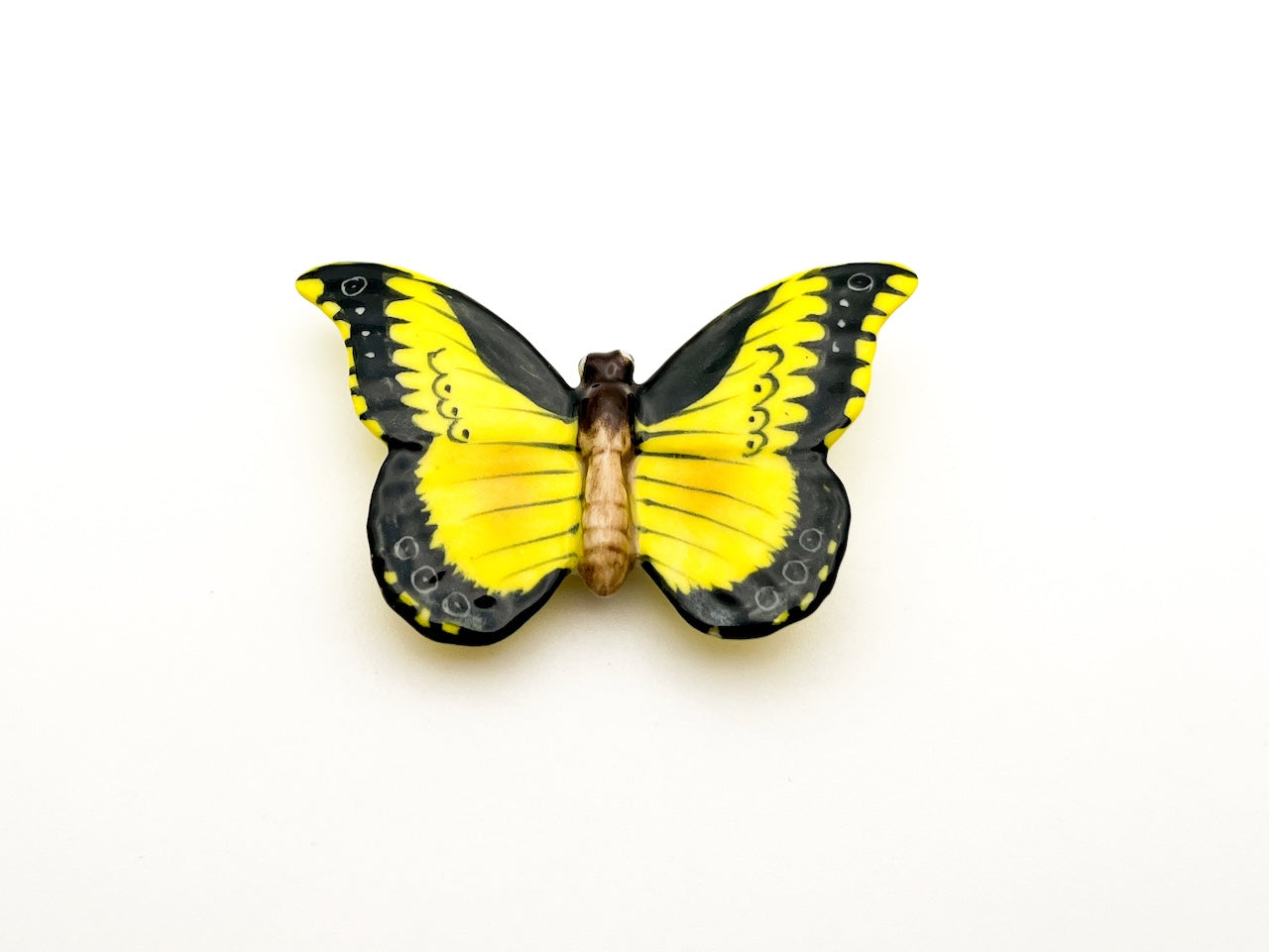Yellow & Black Butterfly