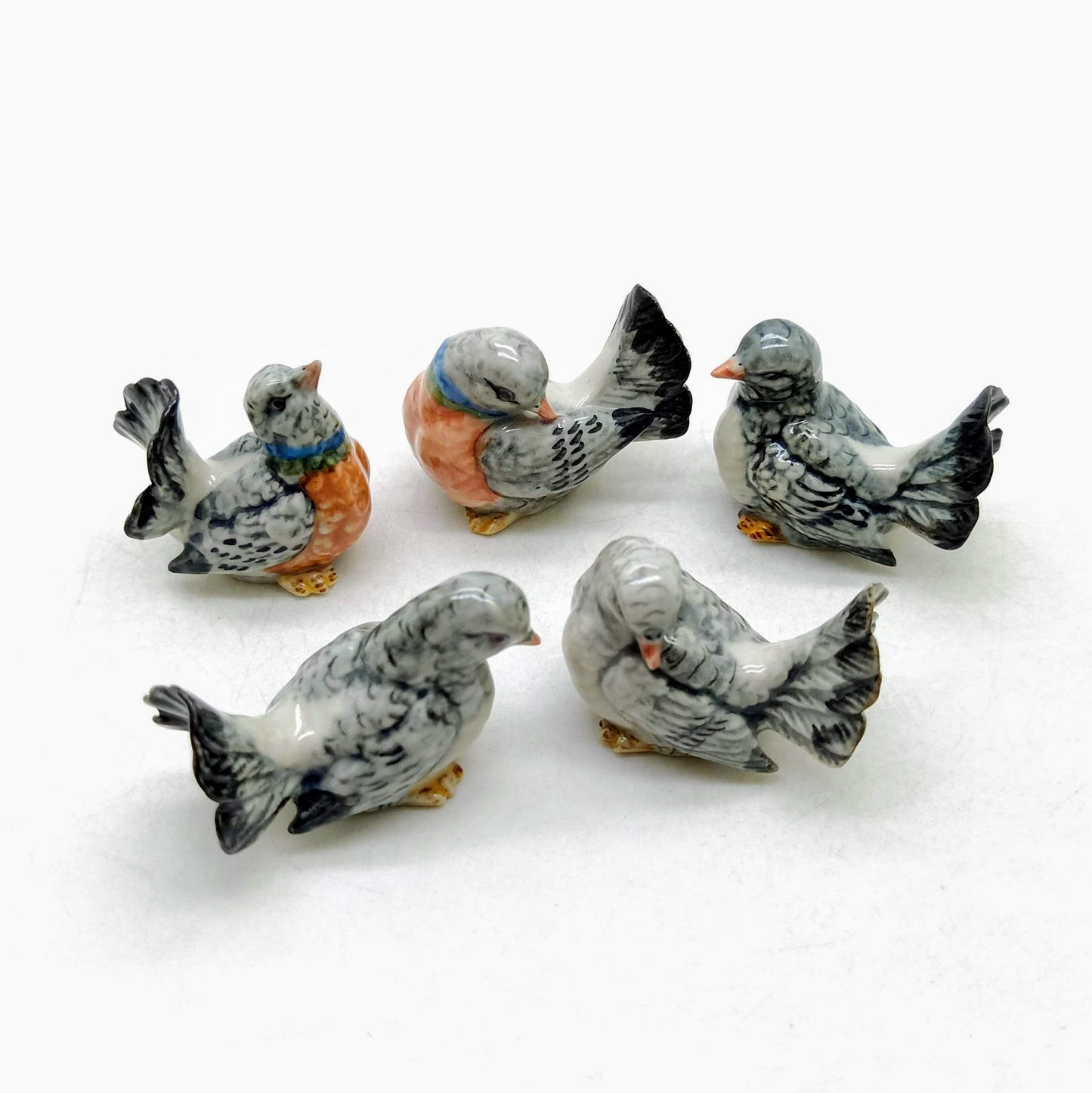 5 Pigeons