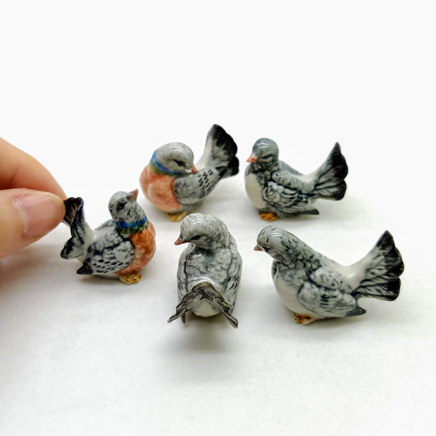 5 Pigeons