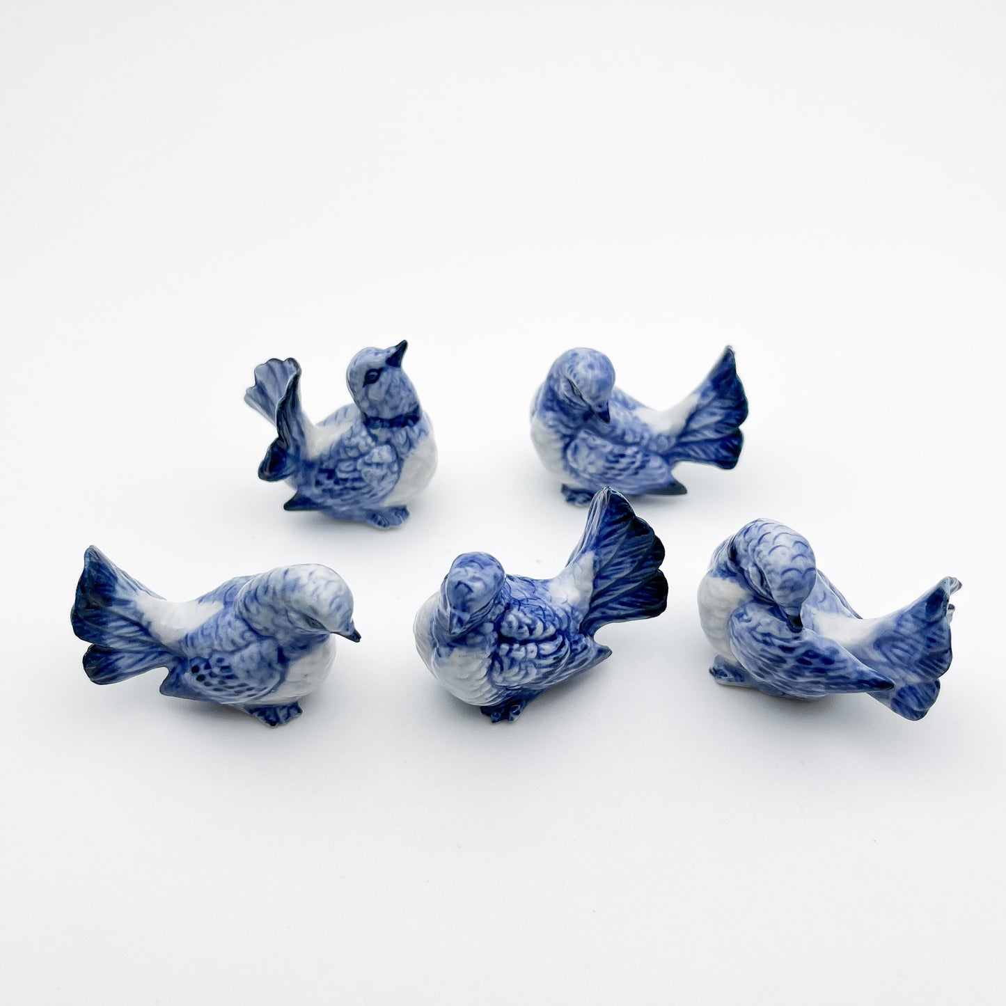5 Pigeons