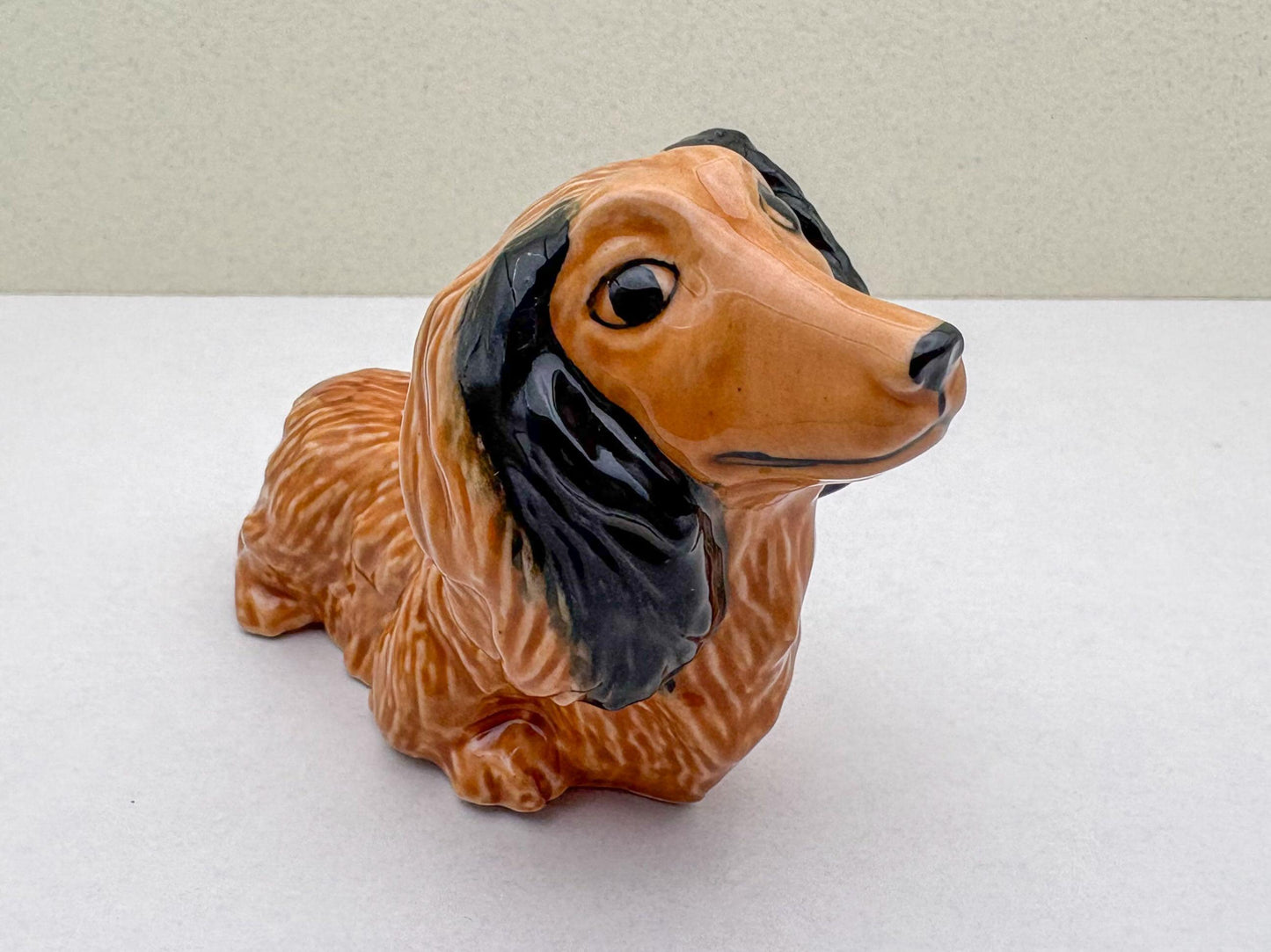 Charming Dachshund