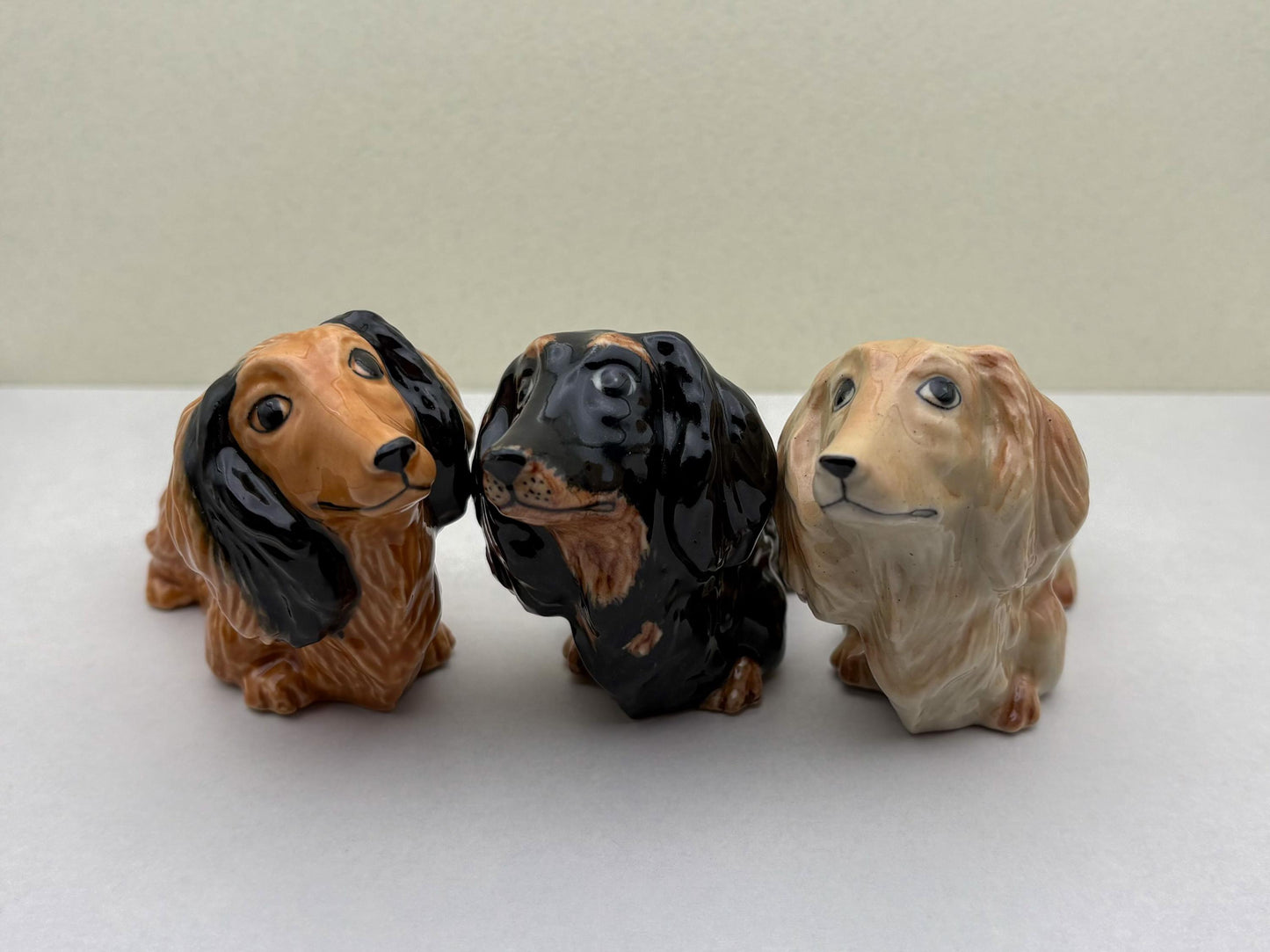 Charming Dachshund