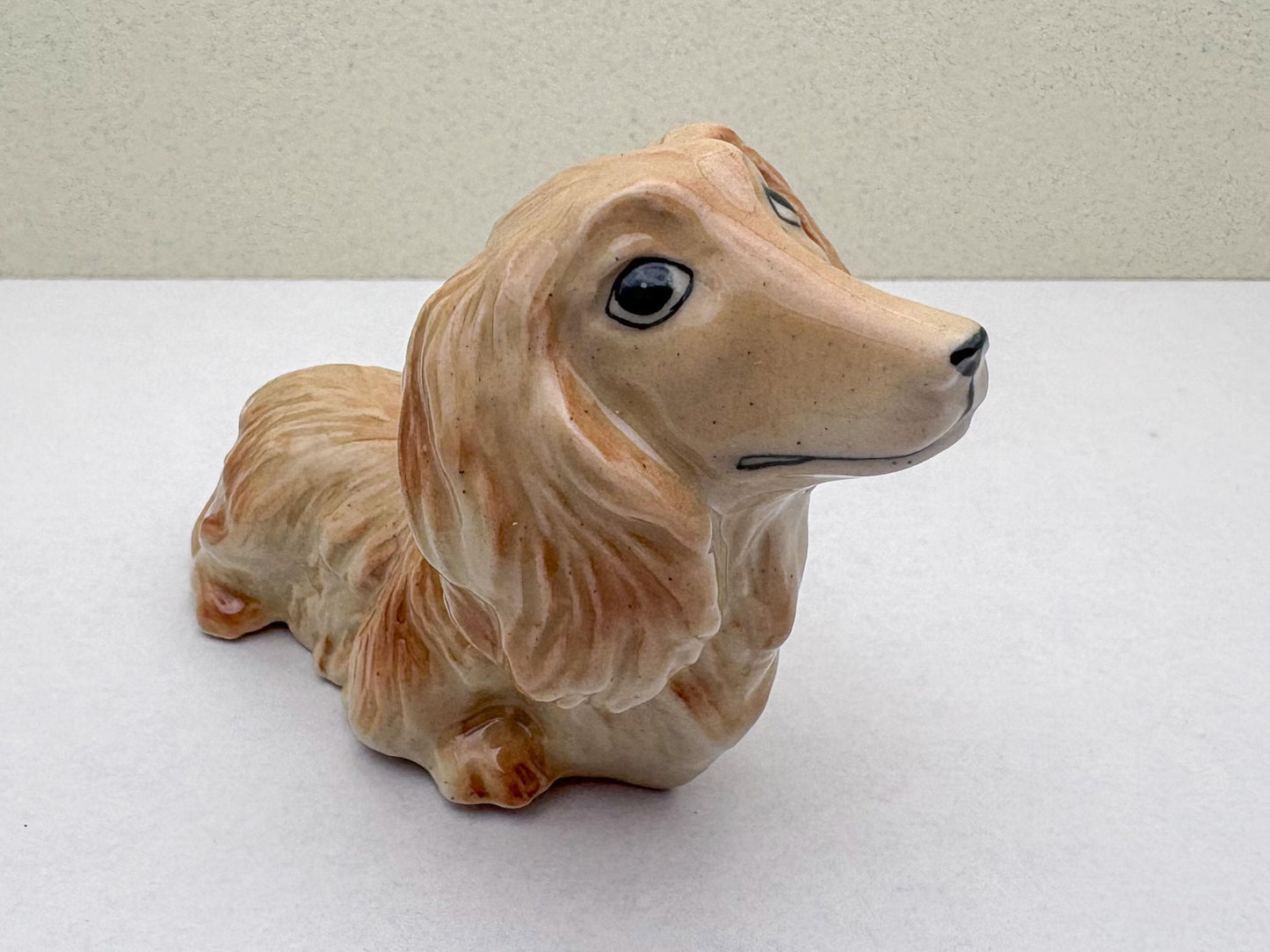 Charming Dachshund