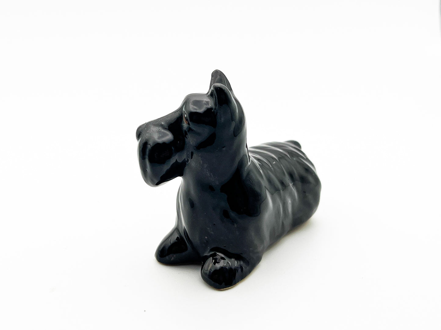 Black Scottish Terrier