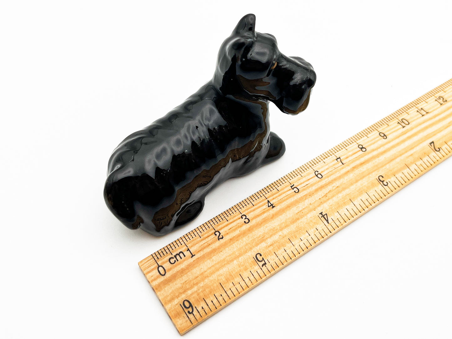 Black Scottish Terrier