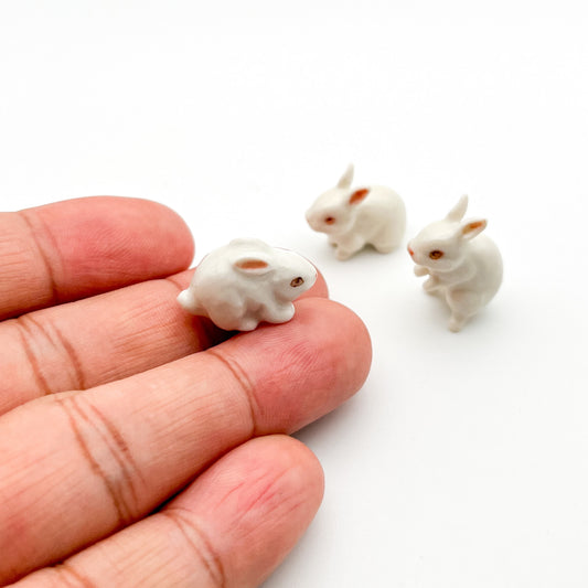 3 Tiny White Rabbits