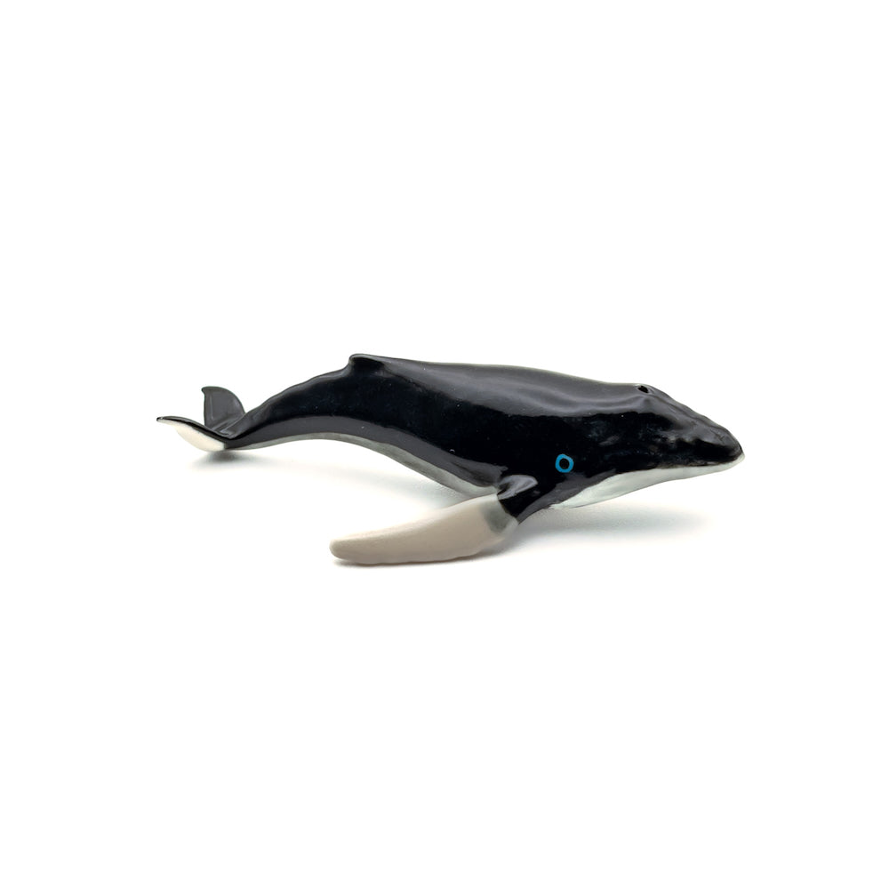 Minke Whale and Humpback Whale